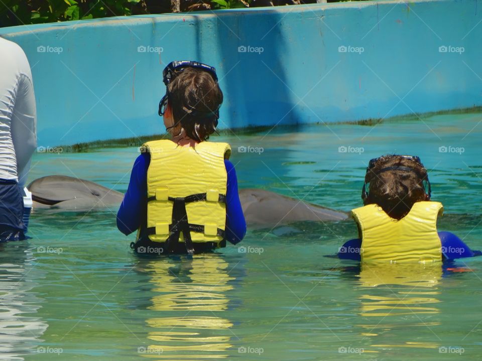 Swimming With Dolphins