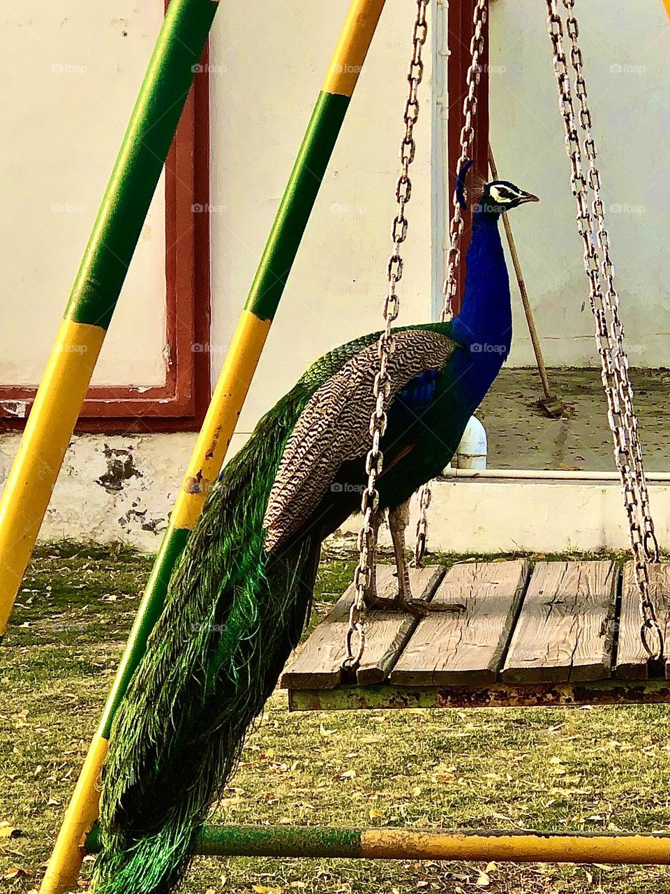 Photo of the month April