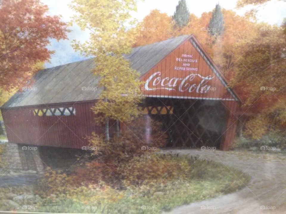 portrait of red barn