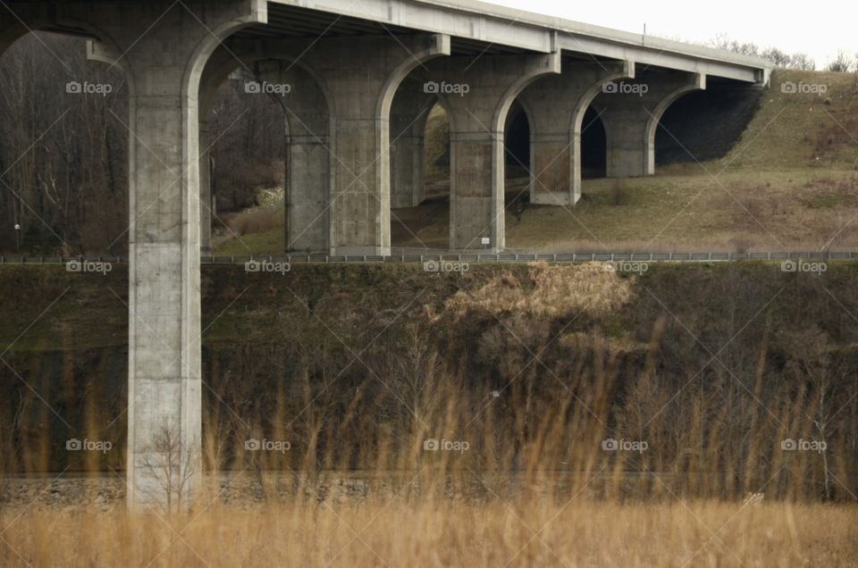 Side View of Highway and Field