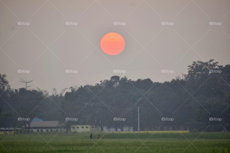 Beautiful sunset view