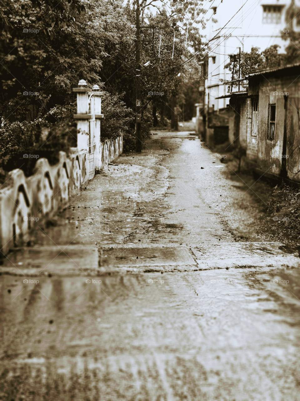 Street, No Person, Monochrome, Sepia, Old