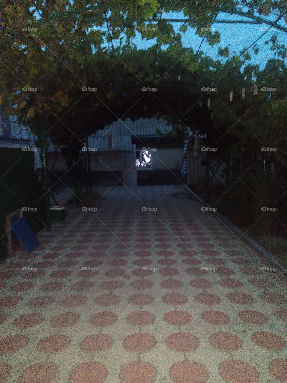 No Person, Tree, Travel, Light, Architecture