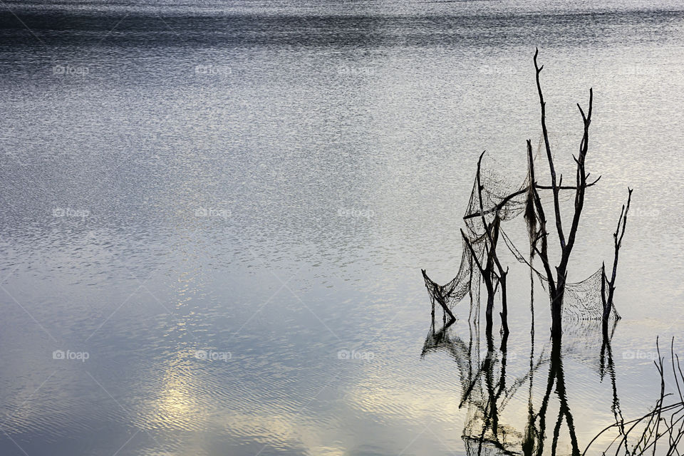 The trees die in water and Fishing Nets at Wang Bon dam Nakhon nayok , Thailand