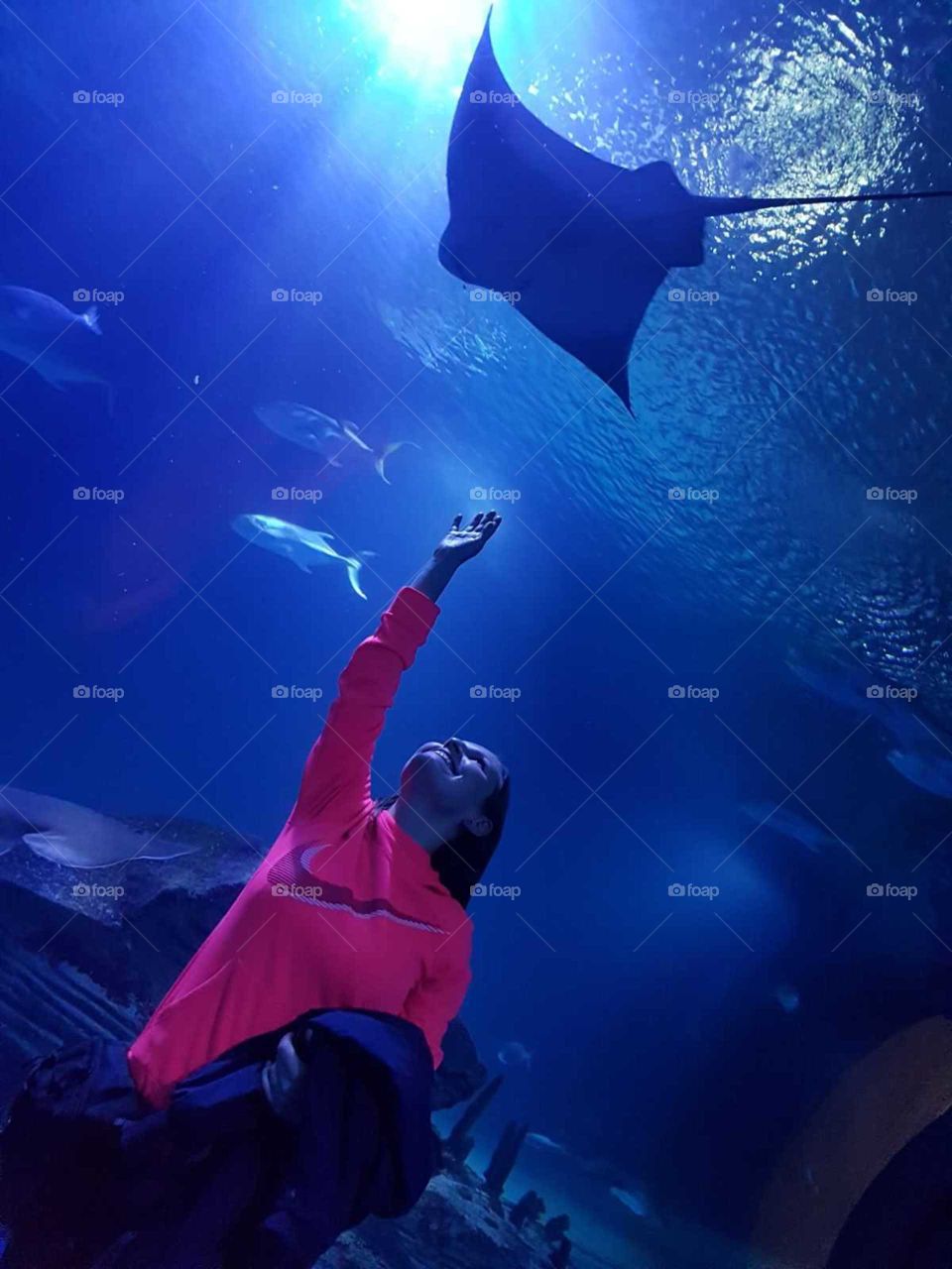 Ocean#world#fish#human#water#enjoy