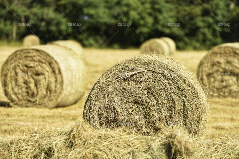 hay bales