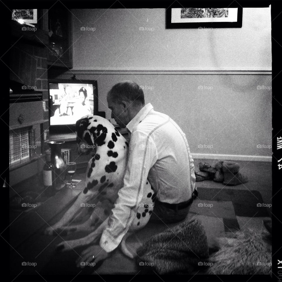 derby dog love pet by gregoir.jackson