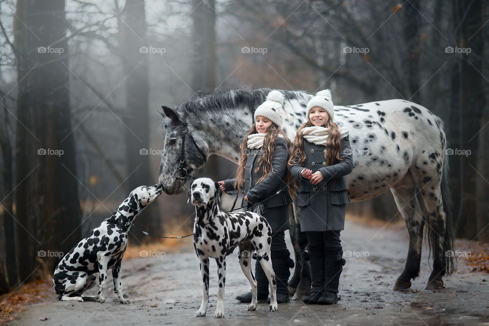 Twins girls with Appaloosa horse and Dalmatian dogs in autumn park 