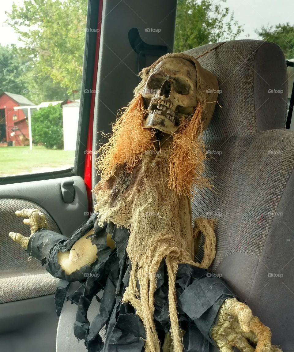 Car, Dog, Transportation System, Vehicle, Travel