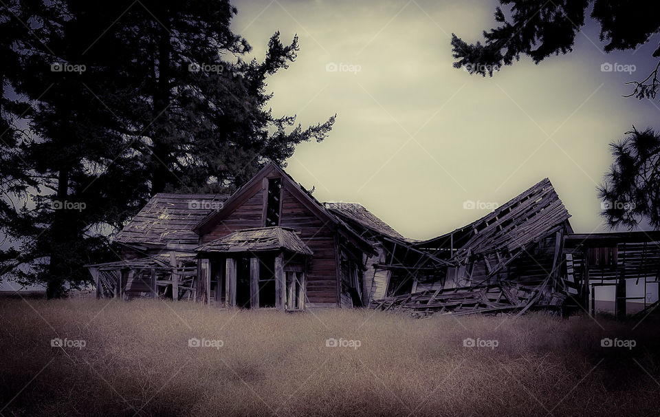 Creepy and dreary the fallen house once sheltered a family with dreams