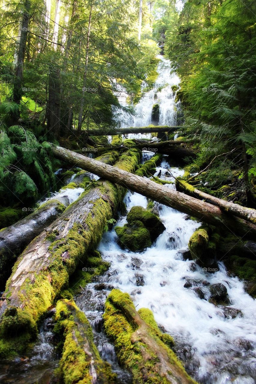 Proxy Falls