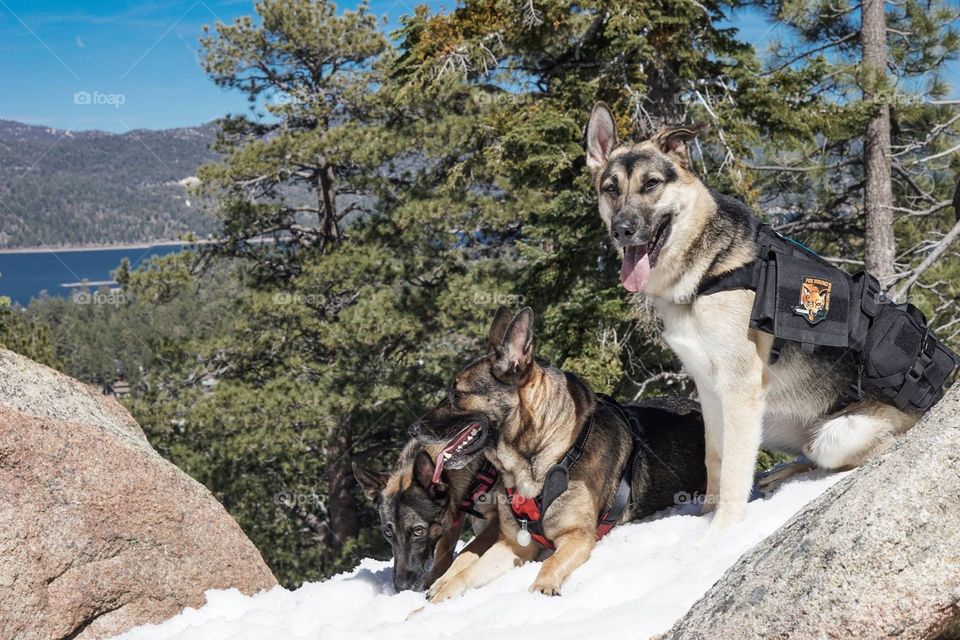 Lakeside mountainside 