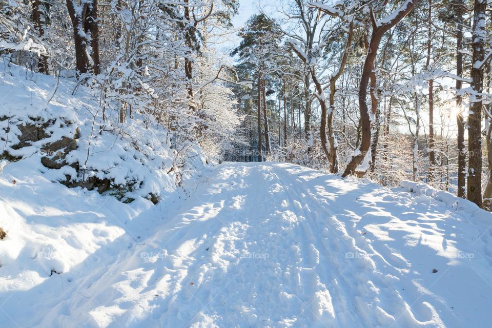 Snow covered road in the forest on a beautiful sunny cold winter day 