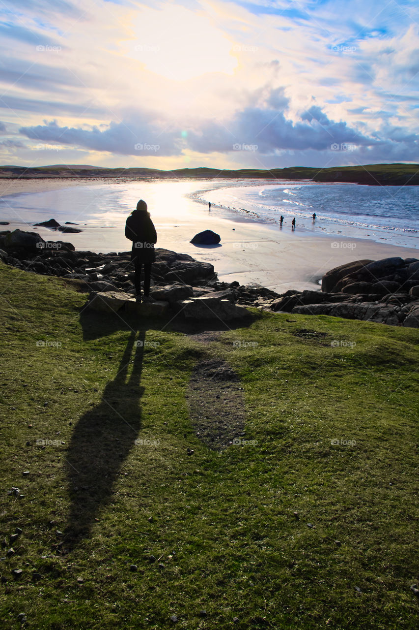 Looking on a Dogs bay