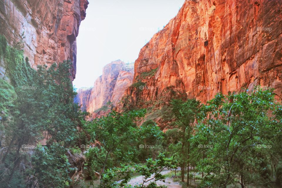 Zion national park, Utah