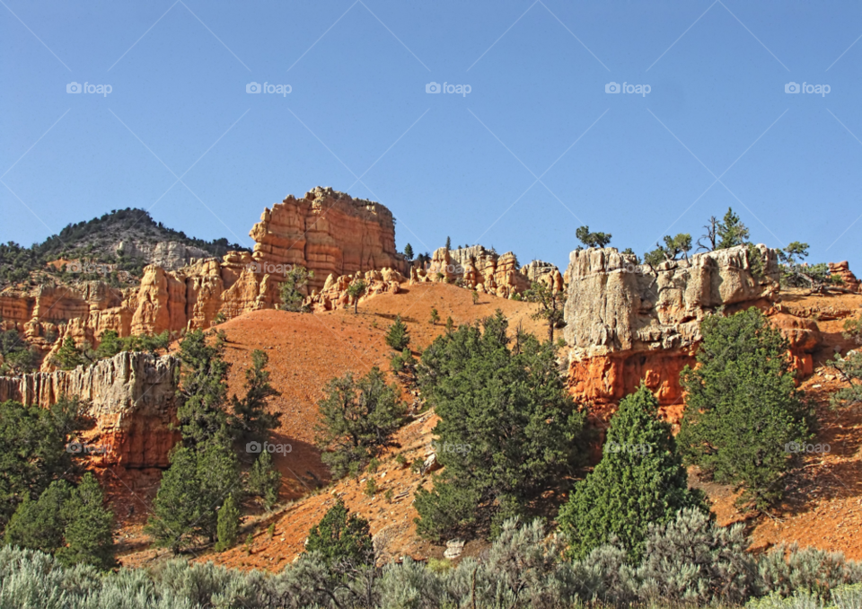 trees scenic rock rugged by landon