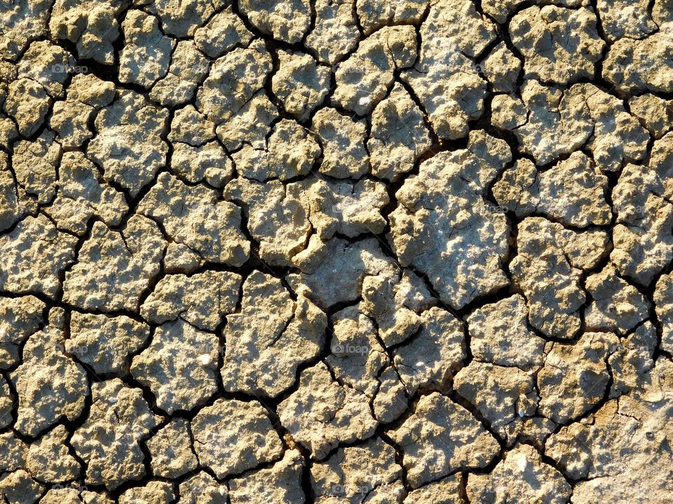 dry earth