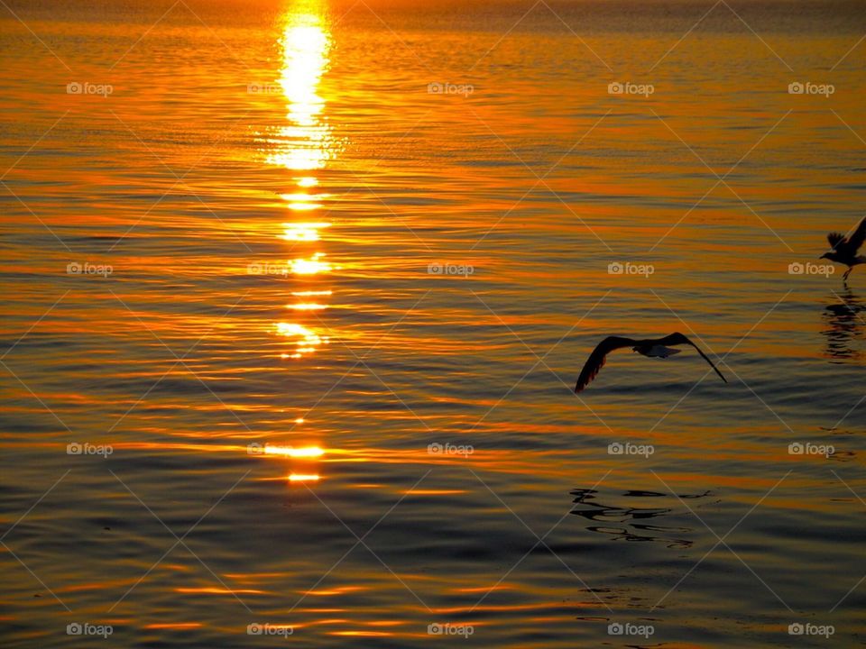 Sunset Great South Bay