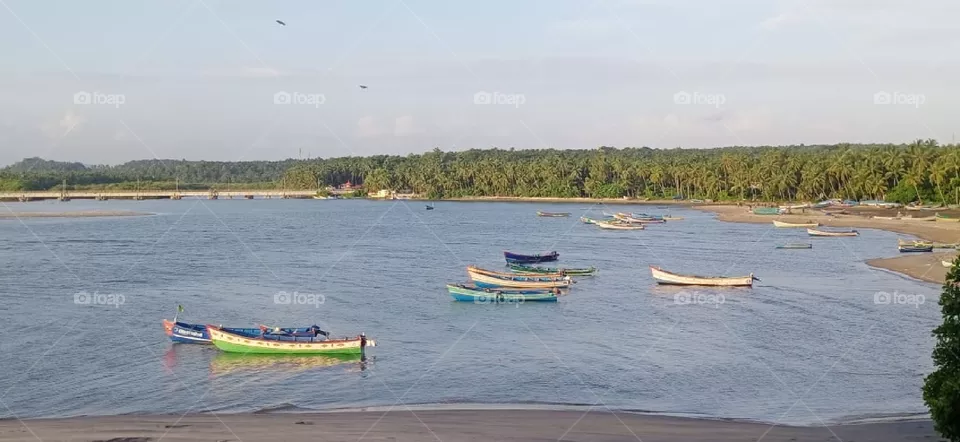 boats