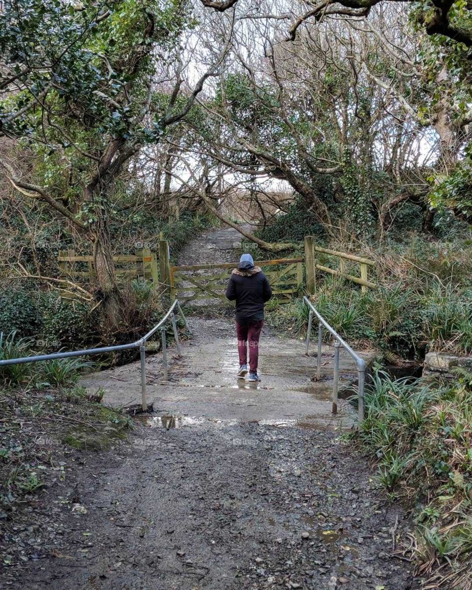 Man walking on Rocky path across this Forest, over a bridge and to a gate.