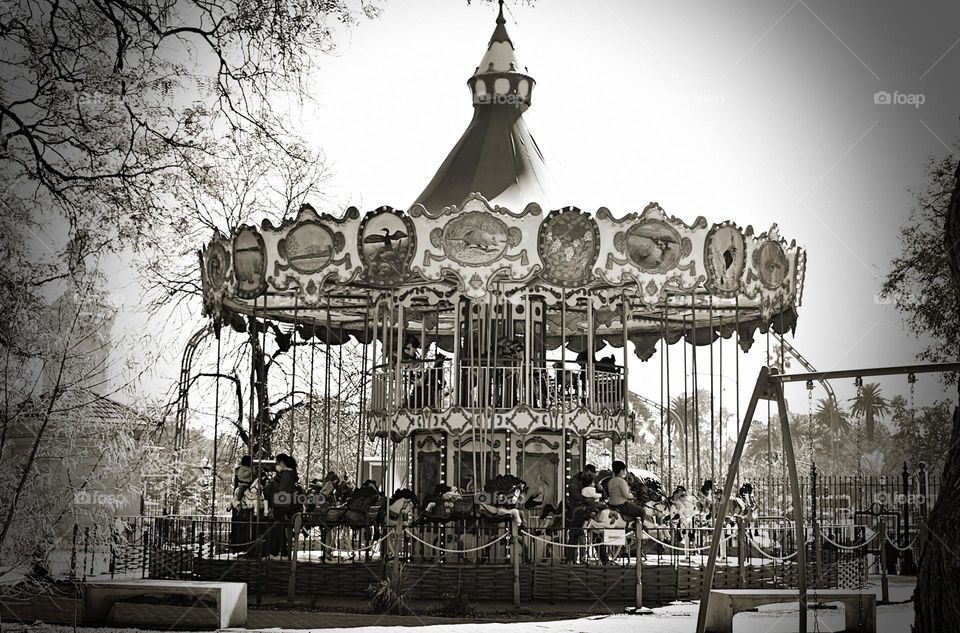 the carousel
