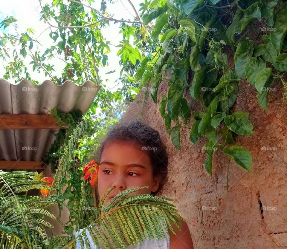 This os Spring  A estação das Flores