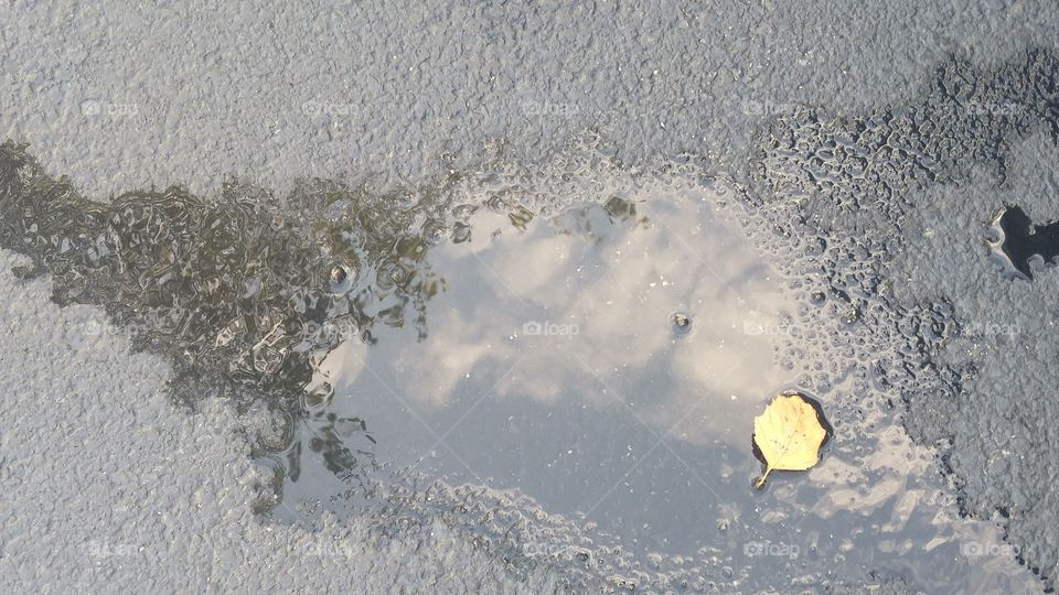 Reflection of the clouds and a tree in a puddle after the rain
