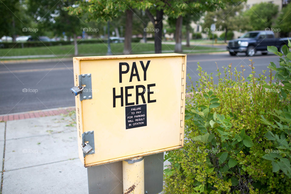 pay here