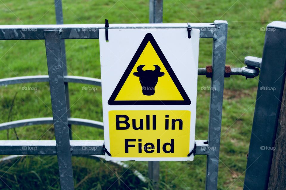 Bull in Field sign 