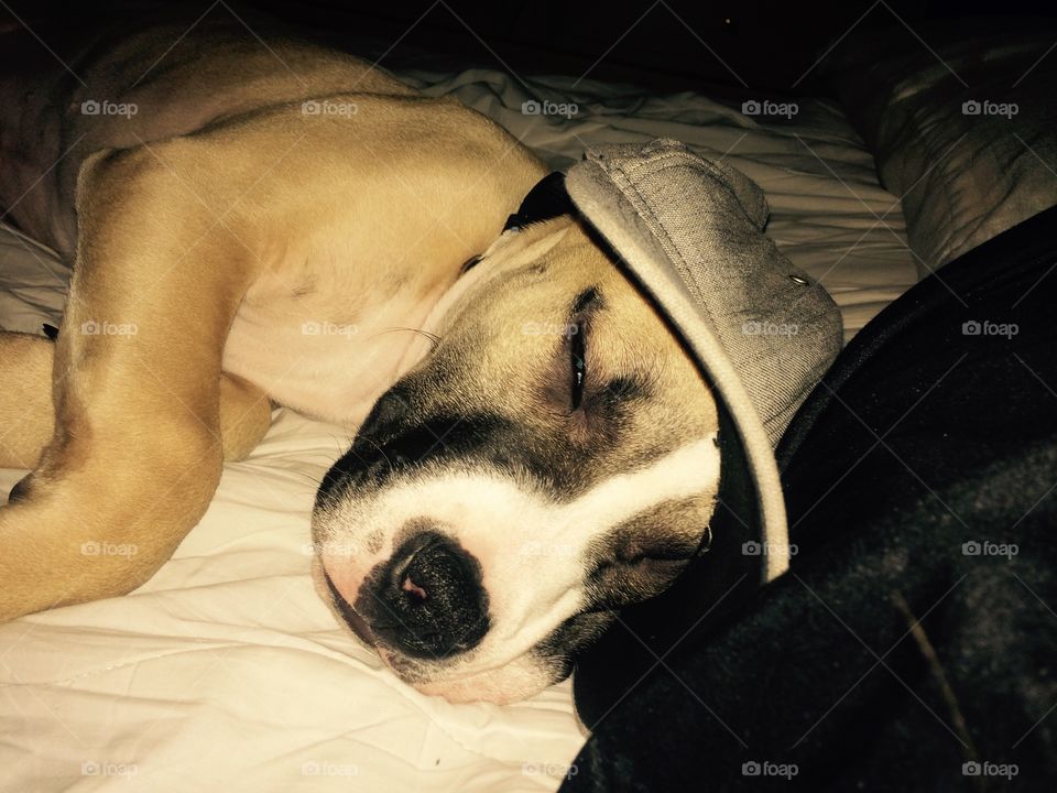 Just call me Sherlock Holmes