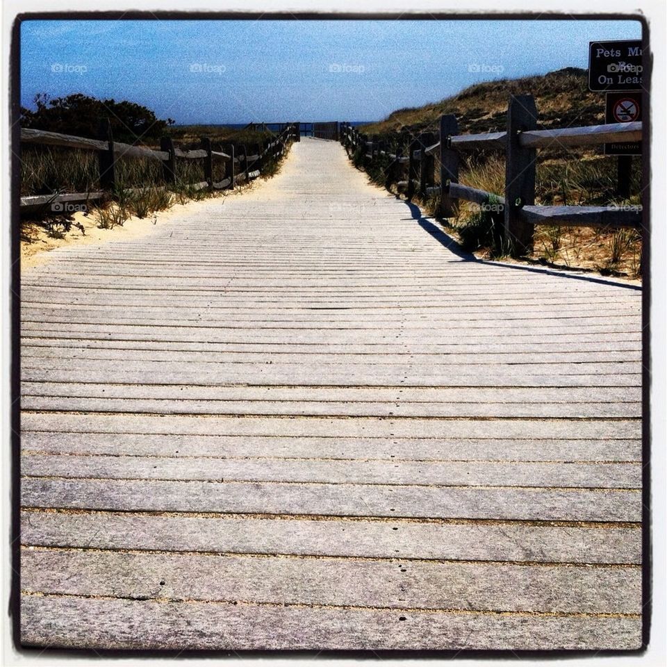 Boardwalk 