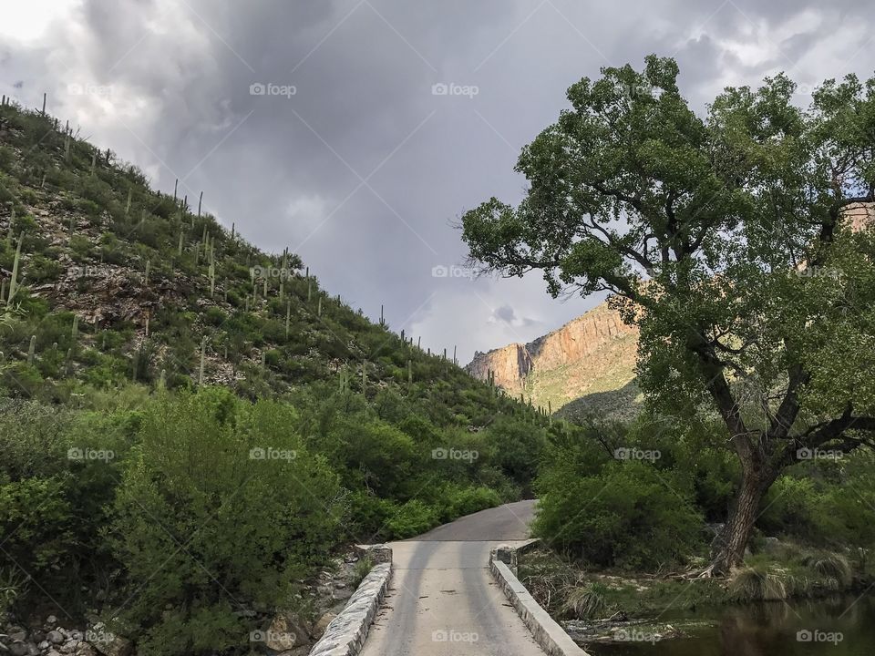 Nature Mountain Landscape - Sabino Canyon in Tucson, Arizona 