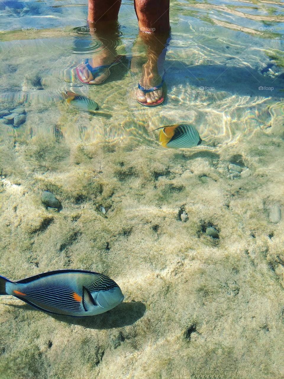 upload your photo of