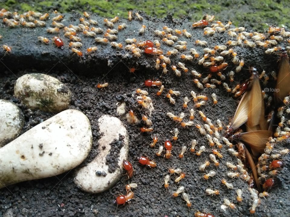 Togetherness is not bad