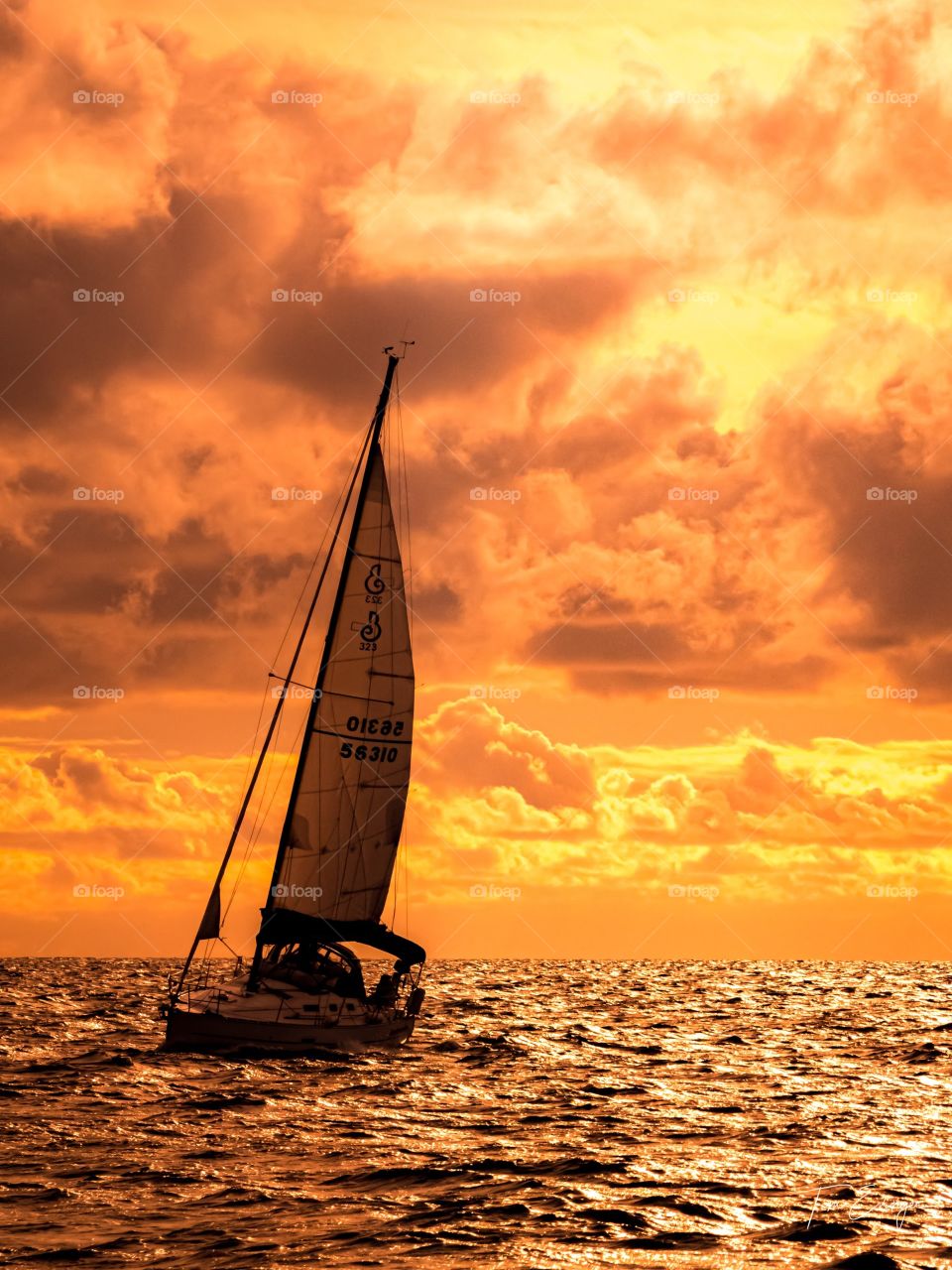 Sunset sailing on the Pacific Ocean. 