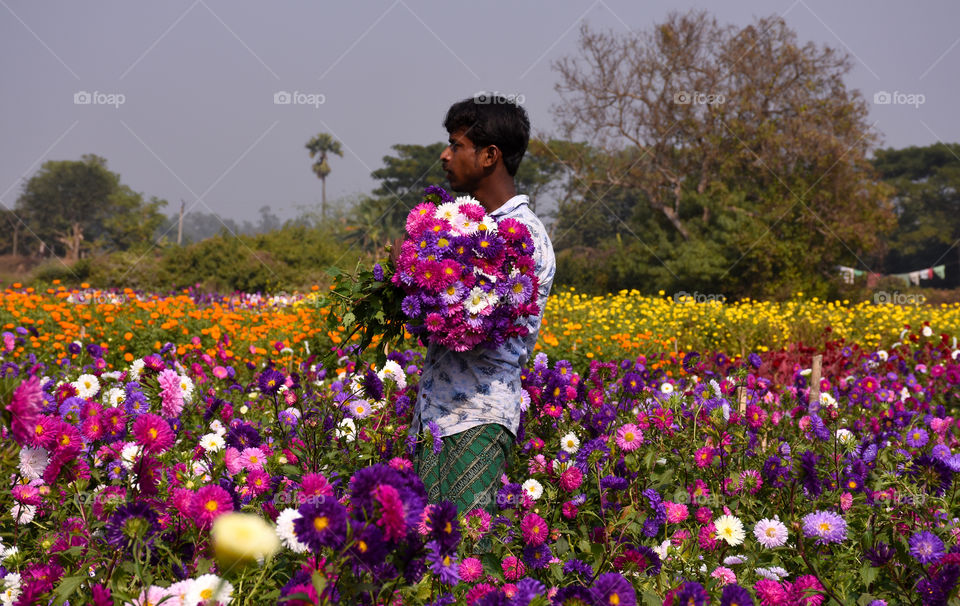 horticultural