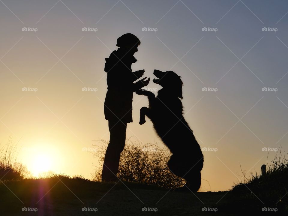 Sunset silhouettes