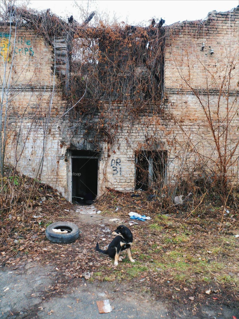 Old abandoned building