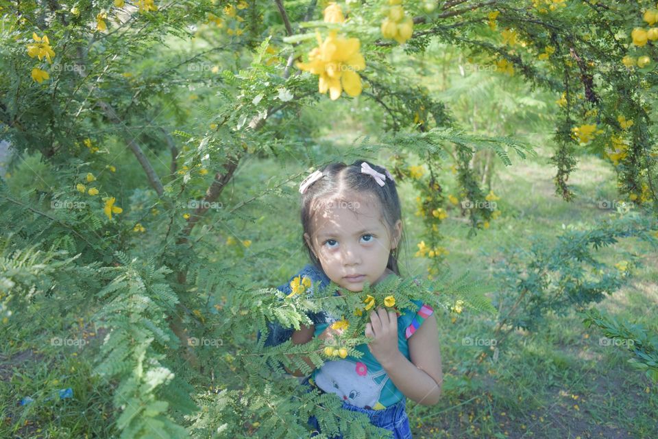 Spring in the garden