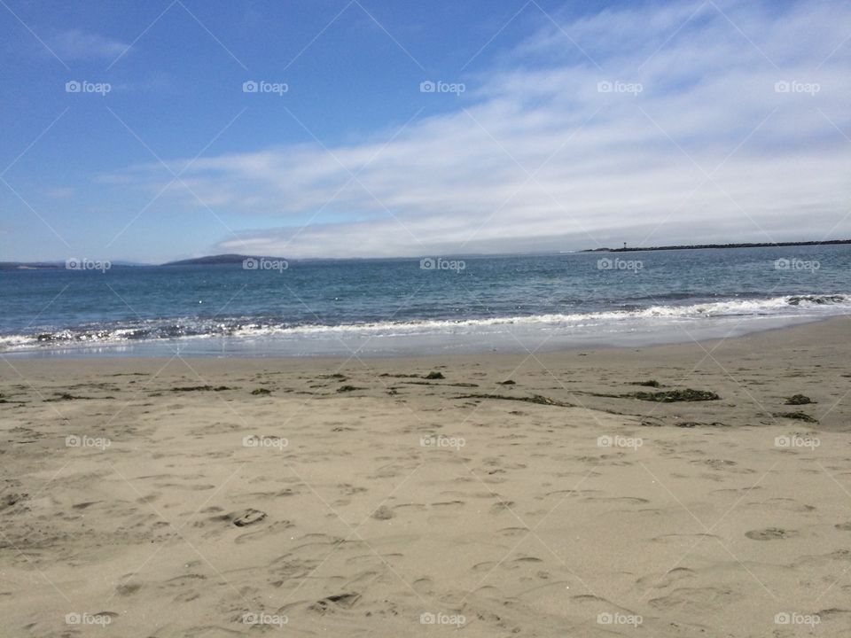 Low tide at Bodega Bay