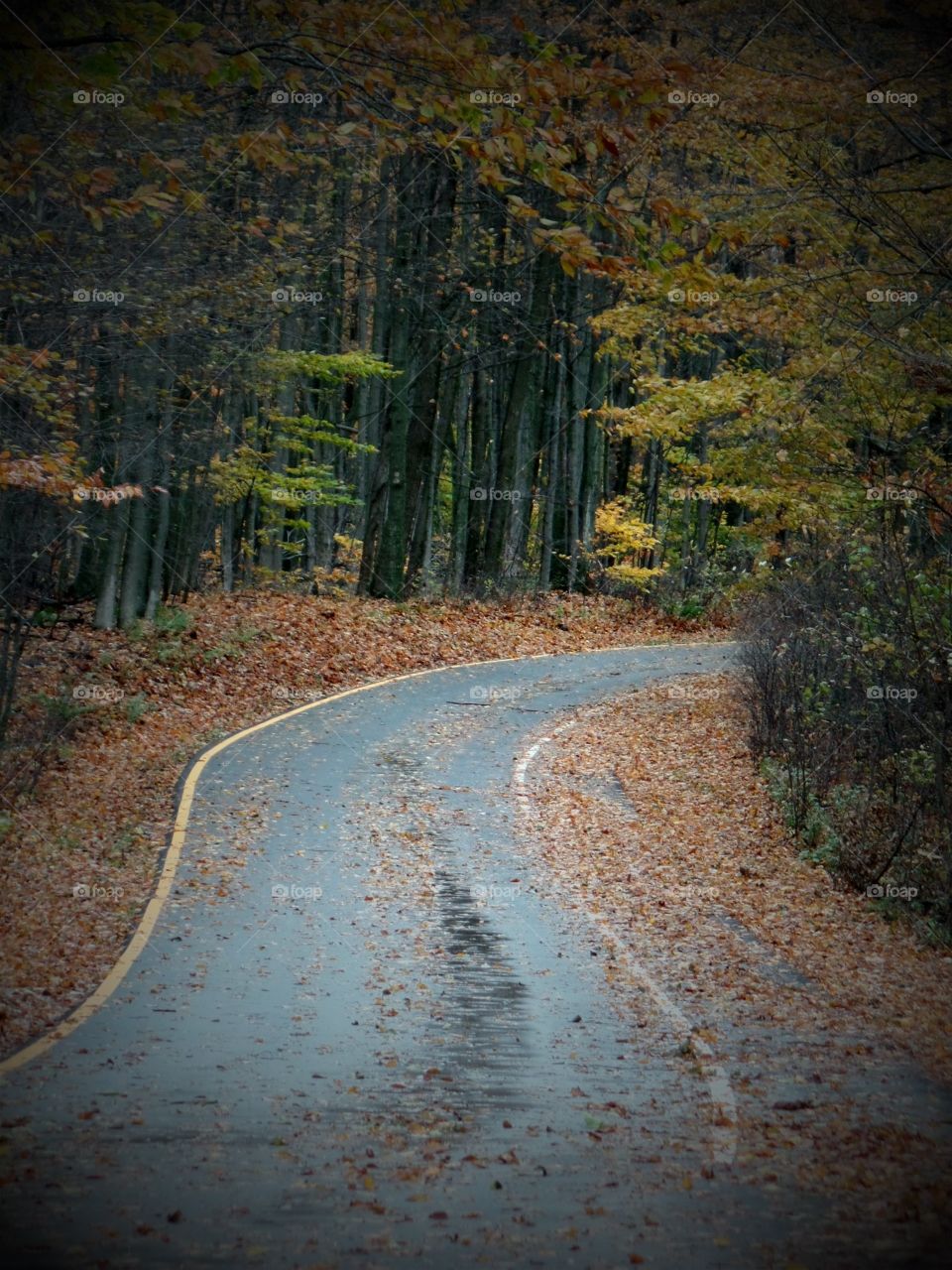 Northern Michigan 