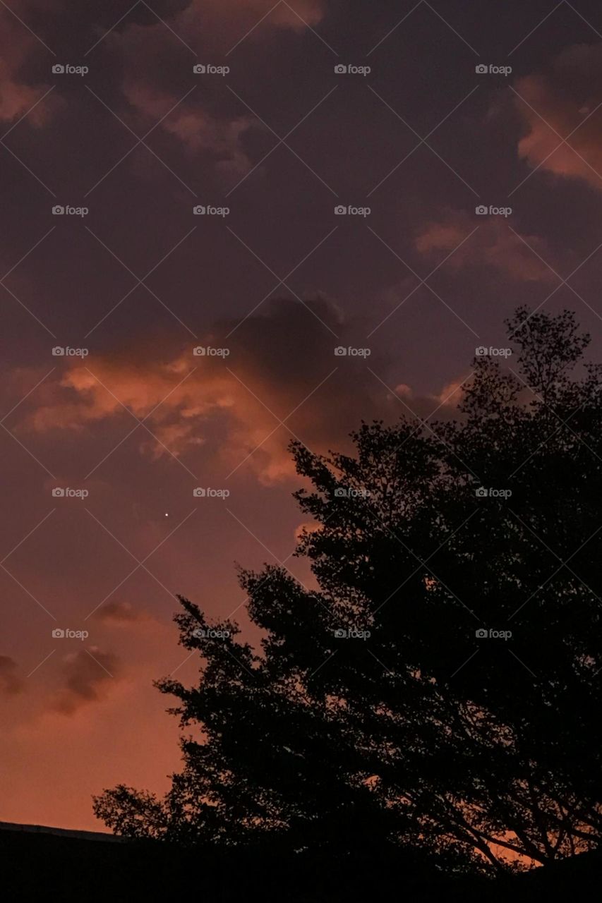 The beauty of the twilight sky in the afternoon with views of trees, clouds and small stars. Sky. Cloud. Tree. Star. Silhouette. Afternoon. Late afternoon. Dusk. Photography. Scene. Scenery. Tranquil.