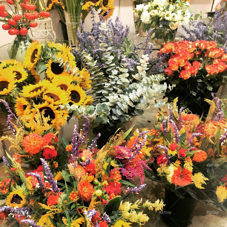 Flower, Flora, Garden, Decoration, Color