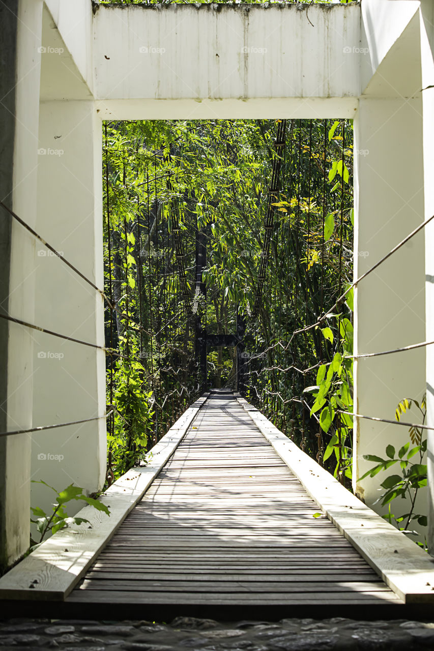 The wooden bridge across the waterfall on a sloping wire rope.