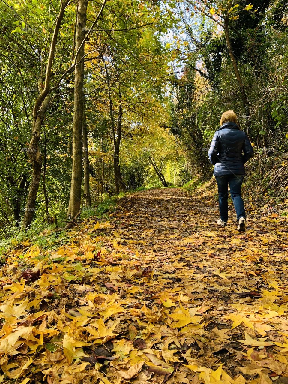walking in the autumn park