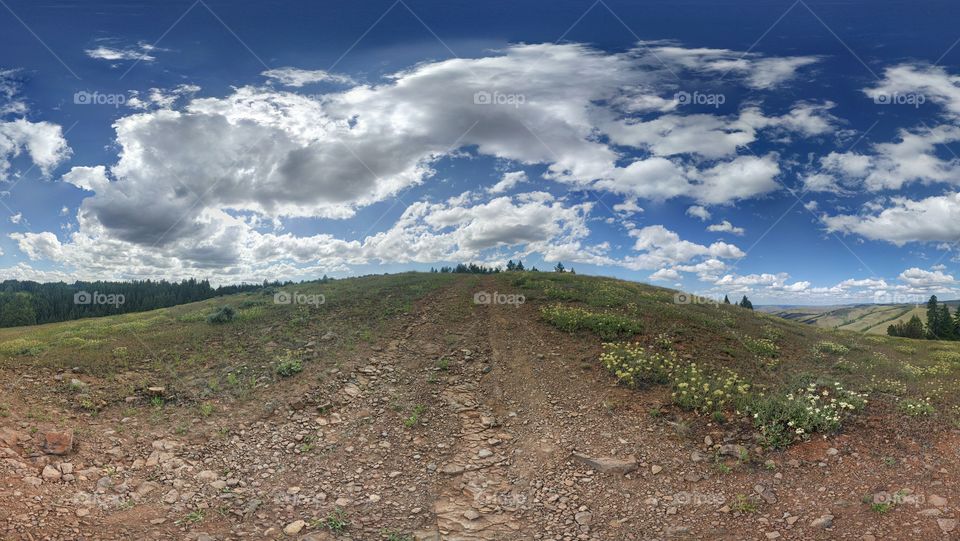 Umatilla Reservation - Paradise Mountain Rd - Pendleton, Oregon.