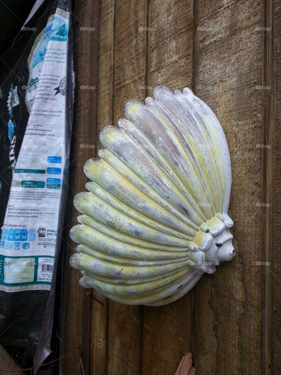 seashell decoration 