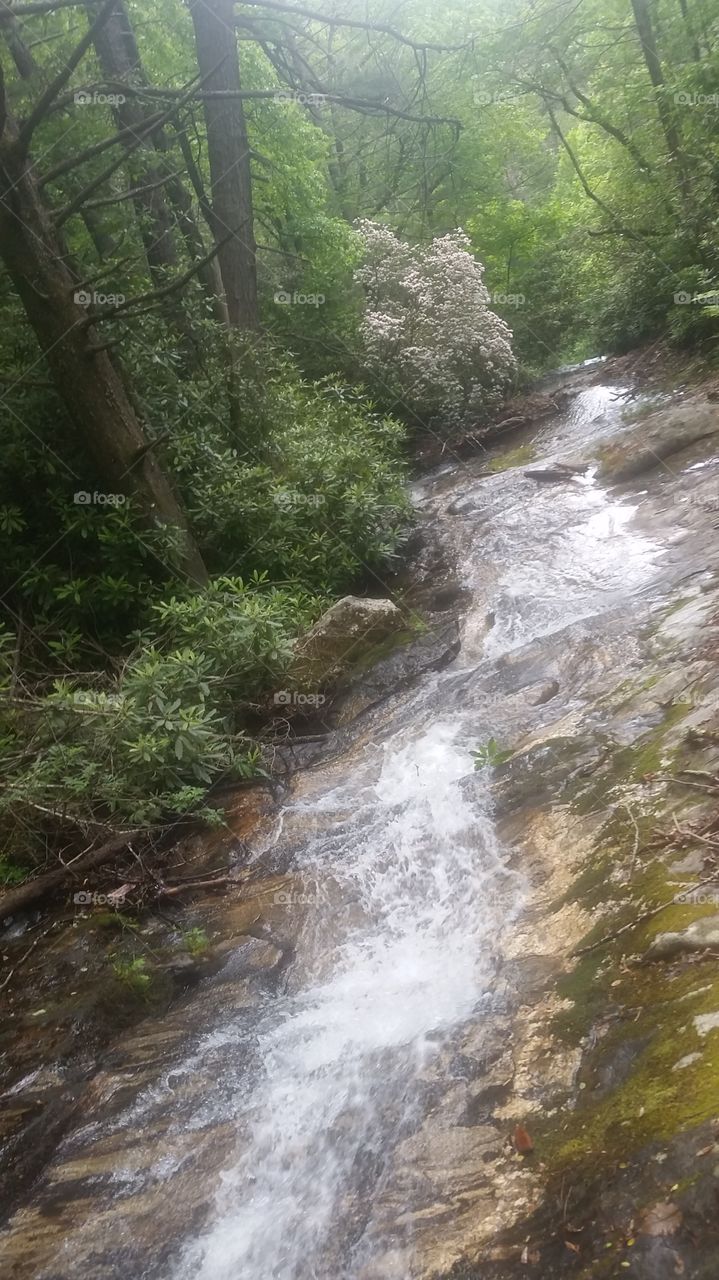 north Carolina waterfall