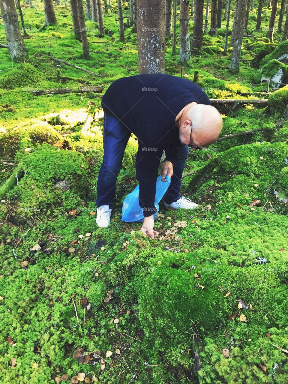 Picking mushrooms