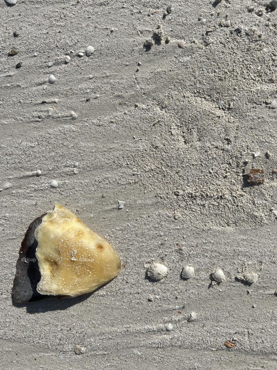 Head rush bone and shells ( like Pac-Man ) 